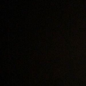 Meet your Posher, Trevor